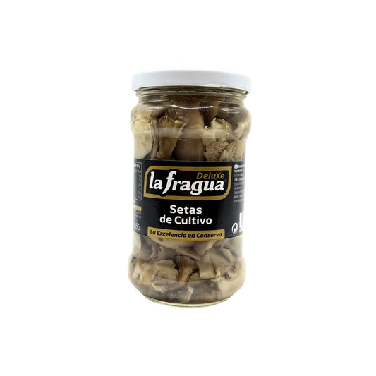Setas de Cultivo
